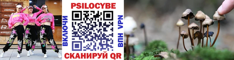 Псилоцибиновые грибы Magic Shrooms  blacksprut как войти  Духовщина 